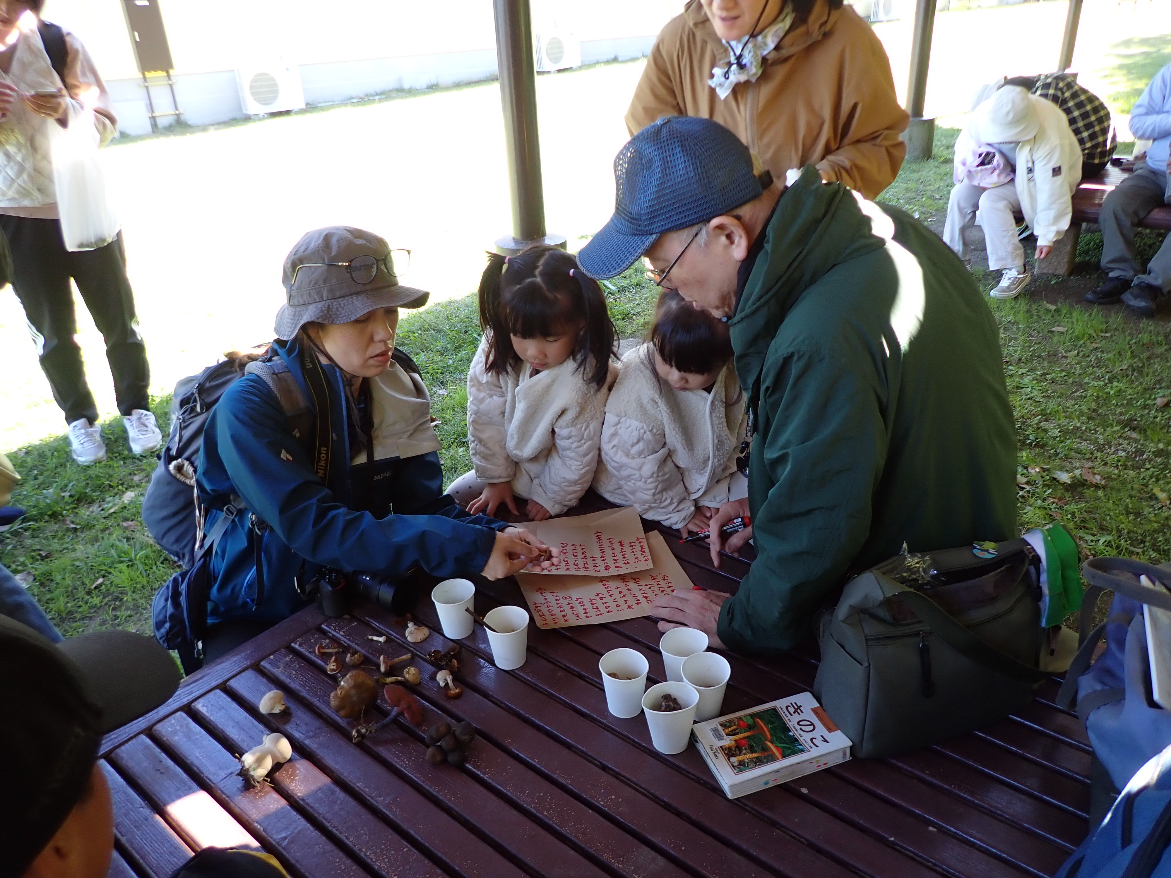 キノコ・苔観察会＆キノコ勉強会?