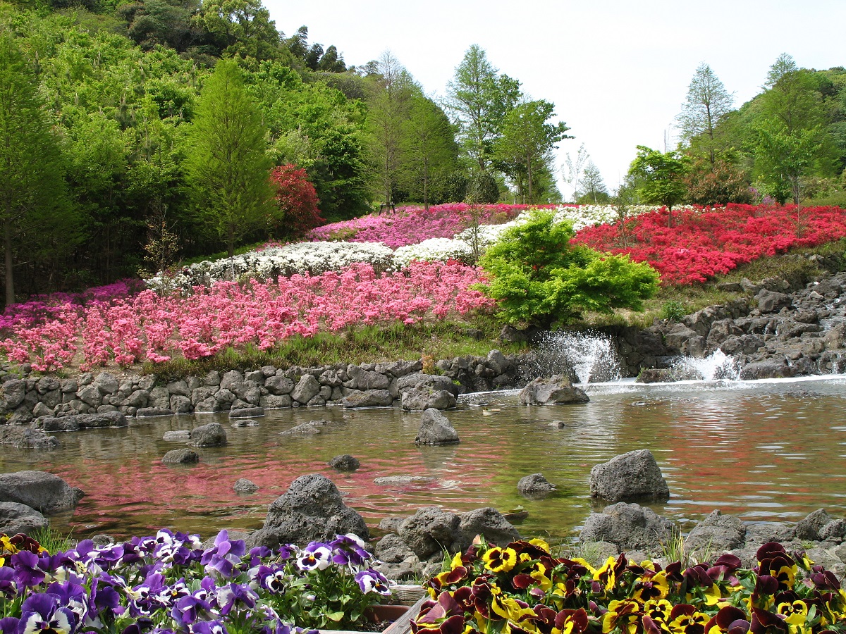 県立淡路島公園（サクラ、ツツジ　など）