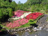 兵庫県立淡路島公園