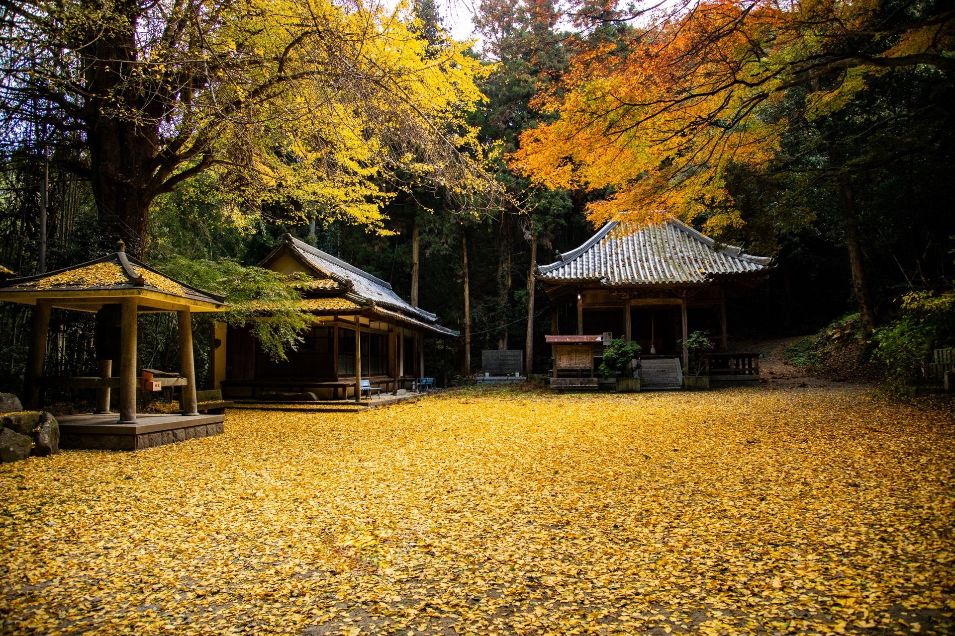 静寂
